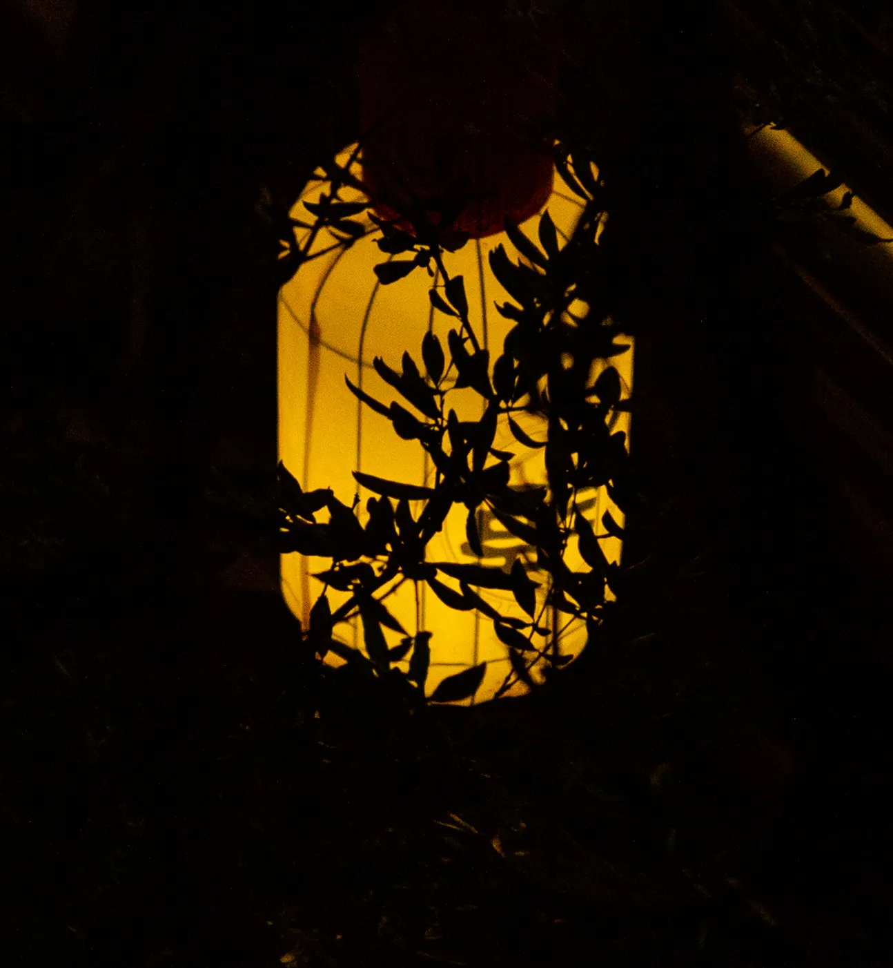 夜里的灯笼